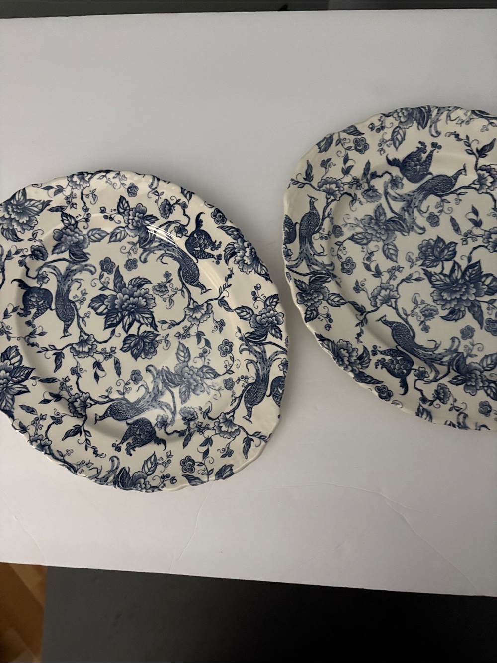 Blue Floral Porcelain Dinner Plates - Elegant Home Dining Set (2)